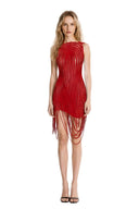 Fringed Sheer Asymmetric Mini Dress